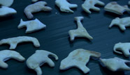 Animal Crackers